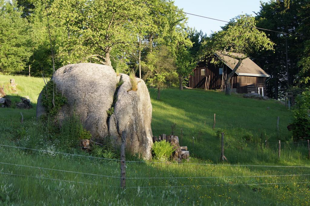 Na Sluneční pohádková chaloupka ve Sladké díře Příchovice Exteriér fotografie